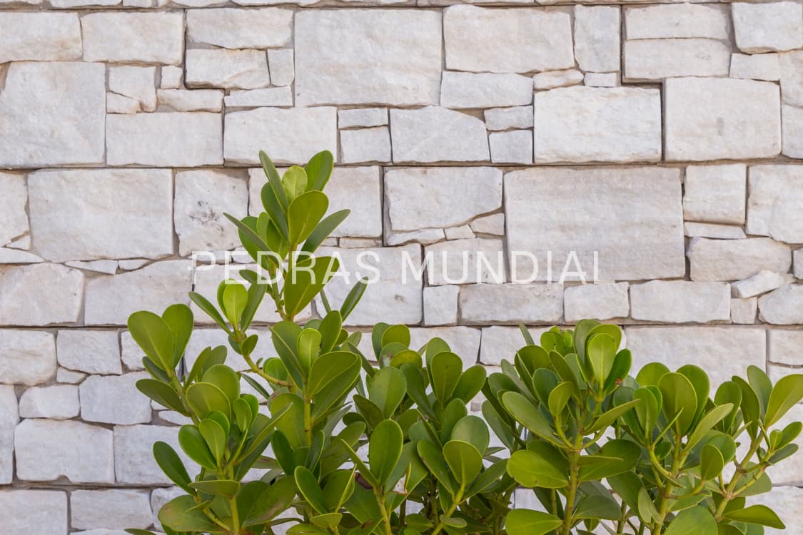 ESPANHA ORGÂNICA BRANCA 2 Pedra para revestir parede Espanha orgânica branca